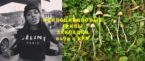 jwh Гвардейск