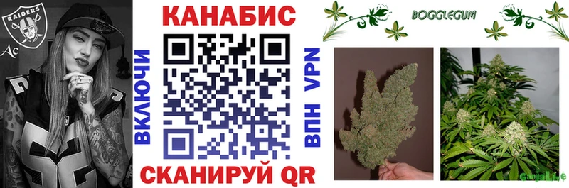 продажа наркотиков  Суоярви  Каннабис сатива 